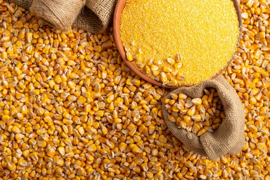Maize Grit
